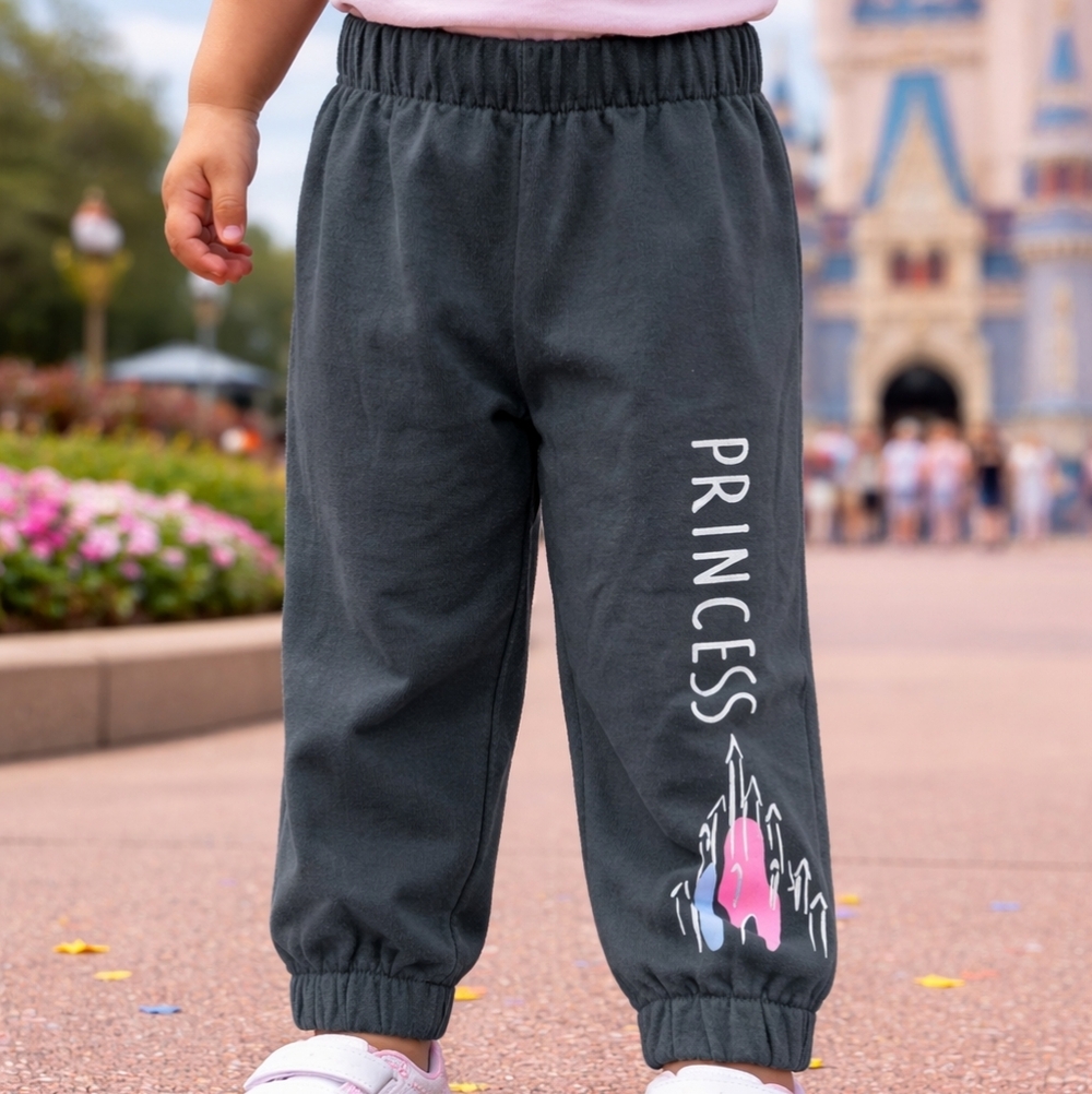 NWOT Disney Princess Charcoal Grey Jogger Sweatpants Kids 2T — Castle Graphic